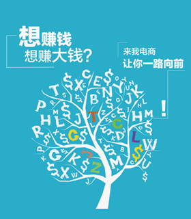 国内电商解决方案 